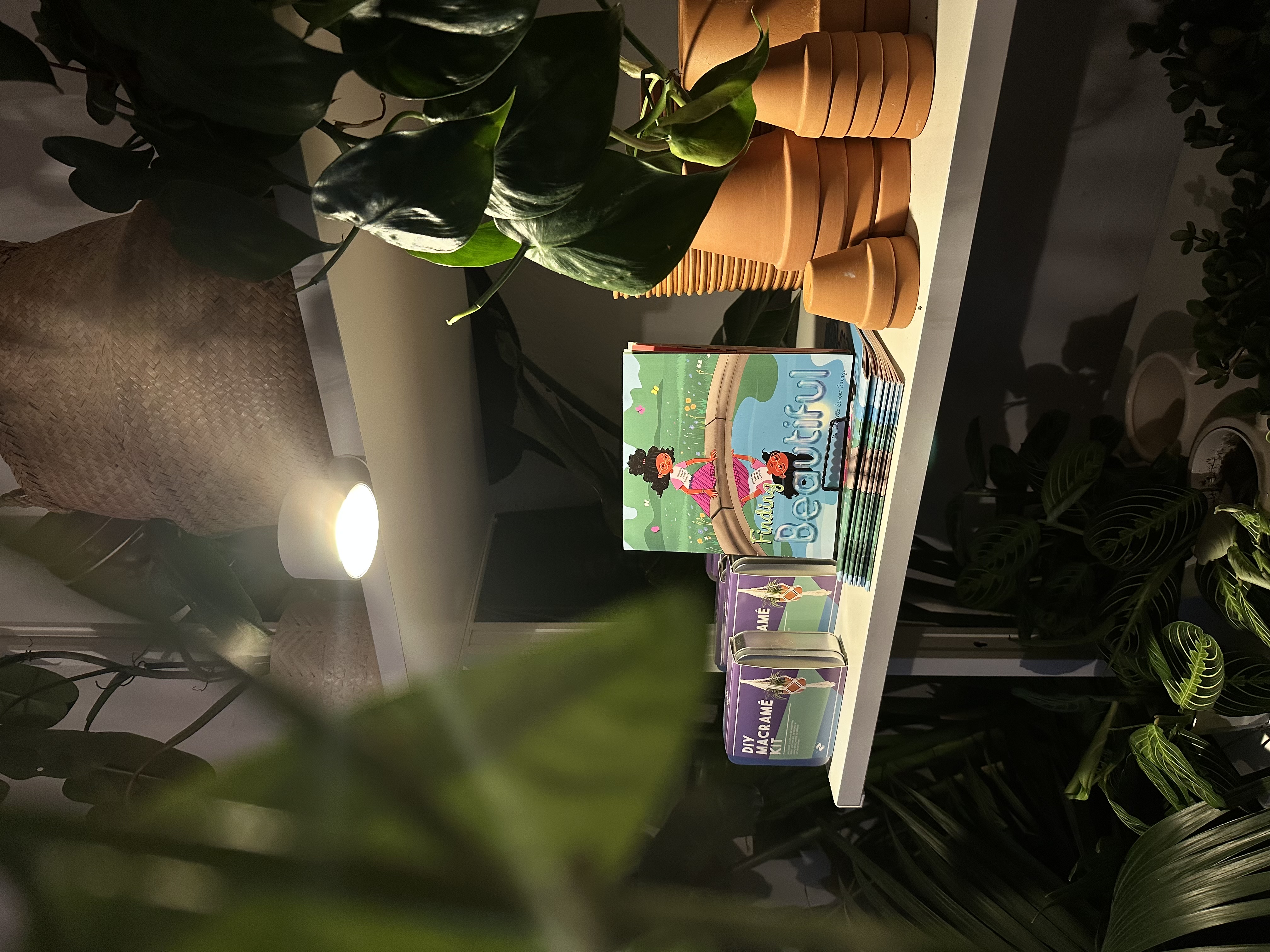 On the Shelf